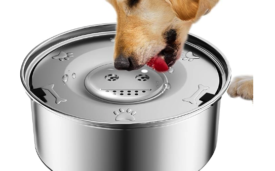 dog drinking bowl